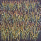 "Spring Grasses"  Oil Pastel on Paper  12"x12"